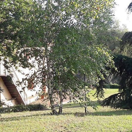 I Fagiani B&B Rimini Zewnętrze zdjęcie