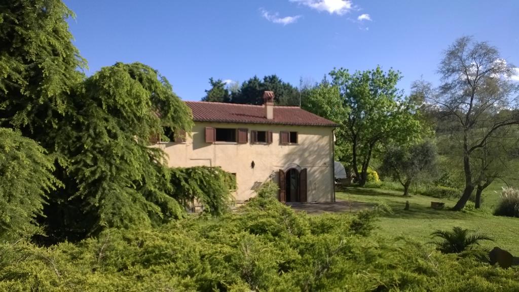 I Fagiani B&B Rimini Zewnętrze zdjęcie