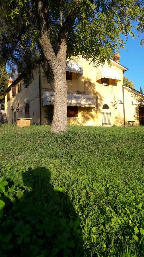 I Fagiani B&B Rimini Zewnętrze zdjęcie